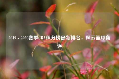 2019 - 2020赛季CBA积分榜最新排名，风云篮球角逐