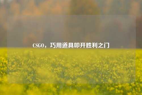 CSGO，巧用道具叩开胜利之门