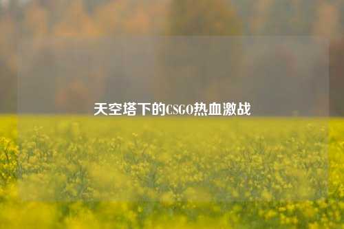 天空塔下的CSGO热血激战