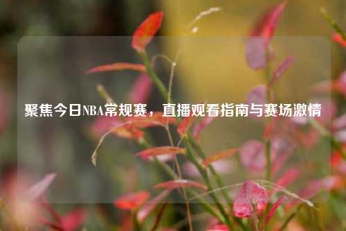 聚焦今日NBA常规赛，直播观看指南与赛场激情
