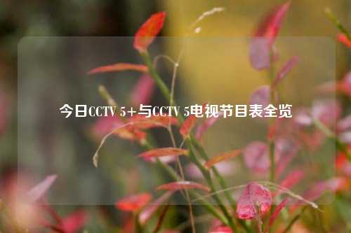 今日CCTV 5+与CCTV 5电视节目表全览