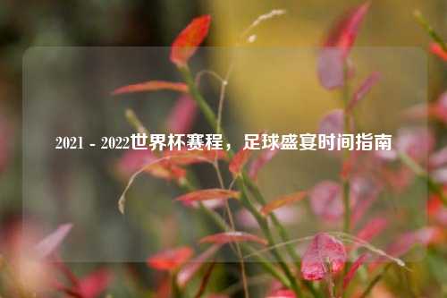 2021 - 2022世界杯赛程，足球盛宴时间指南