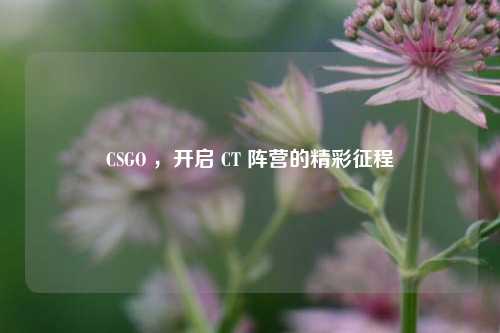 CSGO ，开启 CT 阵营的精彩征程