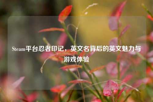 Steam平台忍者印记，英文名背后的英文魅力与游戏体验