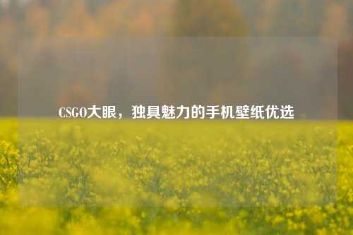 CSGO大眼，独具魅力的手机壁纸优选