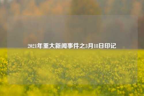 2021年重大新闻事件之3月18日印记