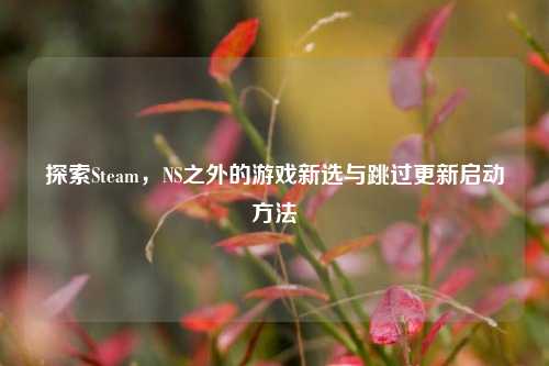 探索Steam，NS之外的游戏新选与跳过更新启动方法