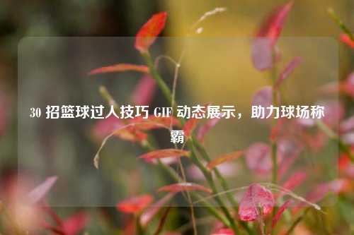 30 招篮球过人技巧 GIF 动态展示，助力球场称霸