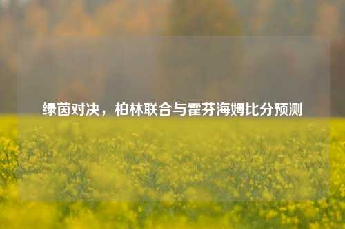 绿茵对决，柏林联合与霍芬海姆比分预测