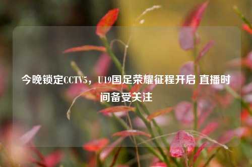 今晚锁定CCTV5，U19国足荣耀征程开启 直播时间备受关注