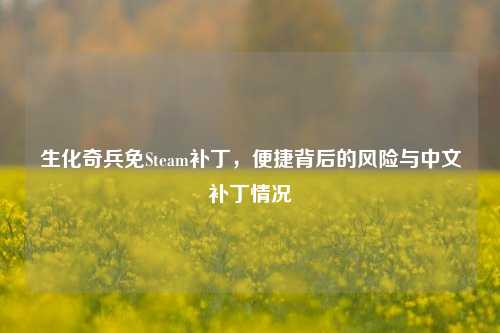 生化奇兵免Steam补丁，便捷背后的风险与中文补丁情况