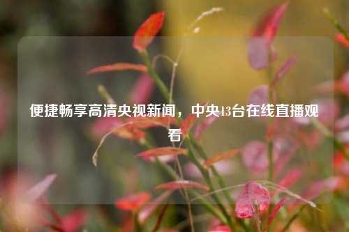 便捷畅享高清央视新闻，中央13台在线直播观看