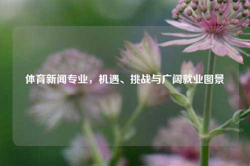 体育新闻专业，机遇、挑战与广阔就业图景