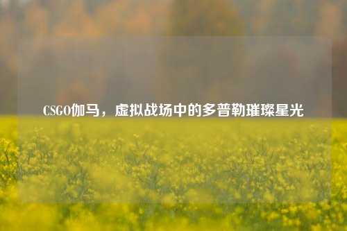CSGO伽马，虚拟战场中的多普勒璀璨星光