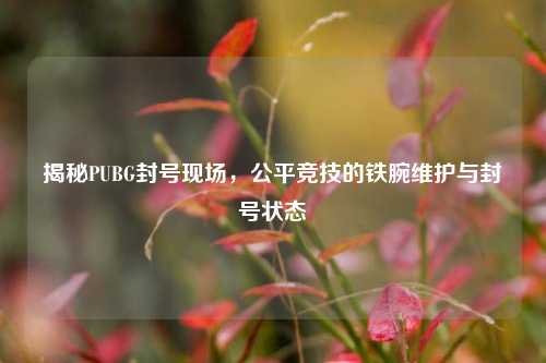 揭秘PUBG封号现场，公平竞技的铁腕维护与封号状态