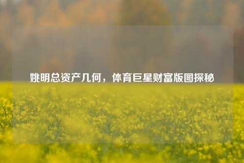 姚明总资产几何，体育巨星财富版图探秘
