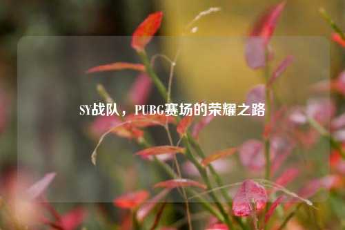 SY战队，PUBG赛场的荣耀之路