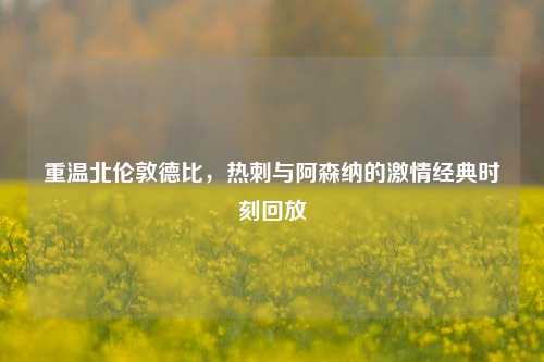 重温北伦敦德比，热刺与阿森纳的激情经典时刻回放