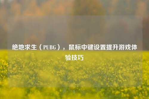 绝地求生（PUBG），鼠标中键设置提升游戏体验技巧