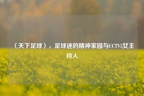 〈天下足球〉，足球迷的精神家园与CCTV5女主持人