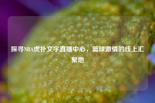探寻NBA虎扑文字直播中心，篮球激情的线上汇聚地