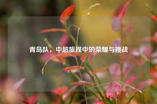 青岛队，中超旅程中的荣耀与挑战