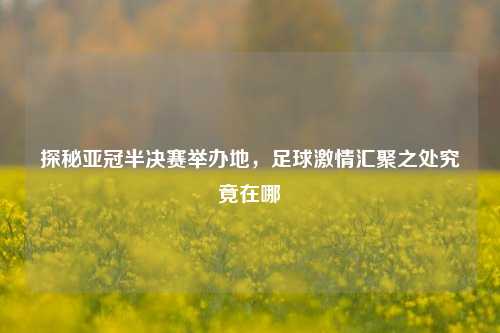 探秘亚冠半决赛举办地，足球激情汇聚之处究竟在哪