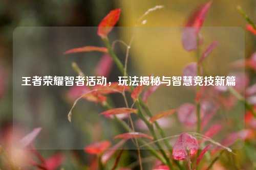 王者荣耀智者活动，玩法揭秘与智慧竞技新篇