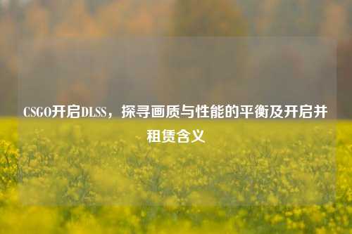 CSGO开启DLSS，探寻画质与性能的平衡及开启并租赁含义