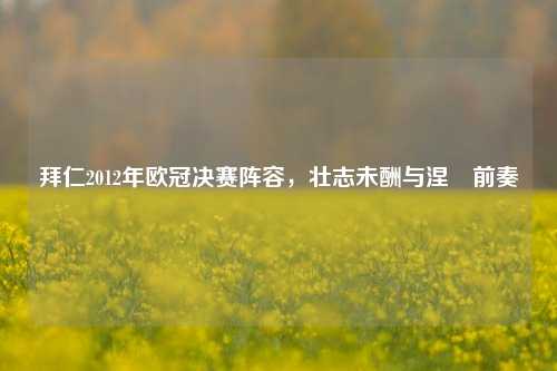 拜仁2012年欧冠决赛阵容，壮志未酬与涅槃前奏