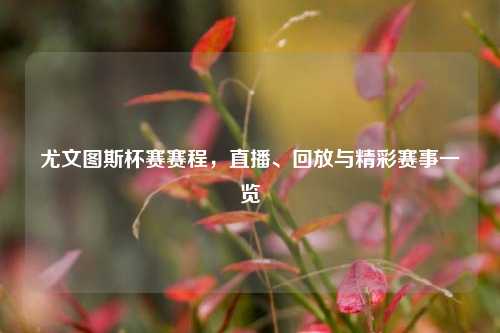 尤文图斯杯赛赛程,直播、回放与精彩赛事一览