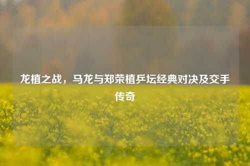 龙植之战，马龙与郑荣植乒坛经典对决及交手传奇