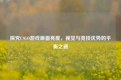 探究CSGO游戏画面亮度，视觉与竞技优势的平衡之道