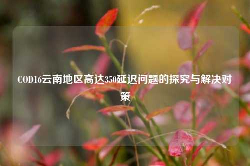 COD16云南地区高达350延迟问题的探究与解决对策