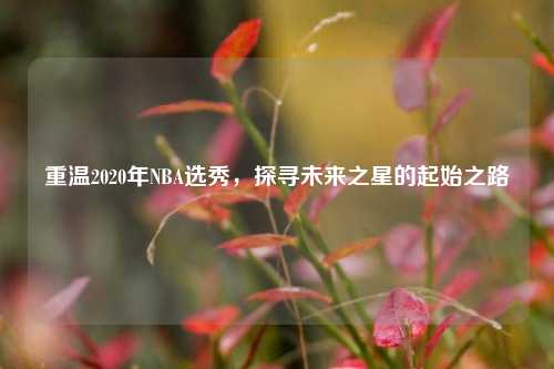 重温2020年NBA选秀，探寻未来之星的起始之路