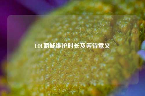 LOL商城维护时长及等待意义