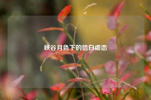 峡谷月色下的信白虐恋
