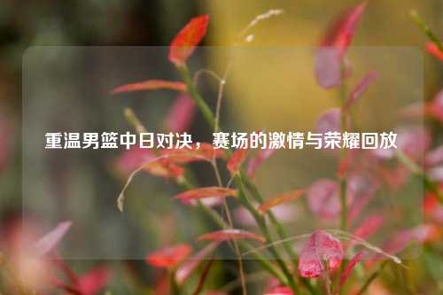 重温男篮中日对决，赛场的激情与荣耀回放