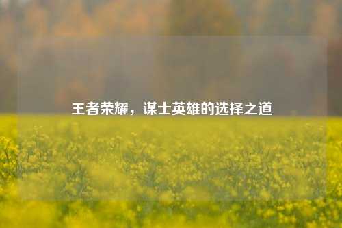 王者荣耀，谋士英雄的选择之道