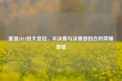重温2013恒大亚冠，半决赛与决赛首回合的荣耀激情