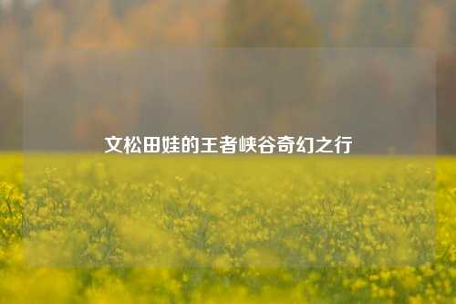 文松田娃的王者峡谷奇幻之行