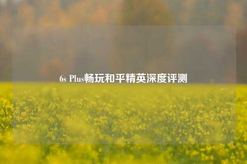 6s Plus畅玩和平精英深度评测