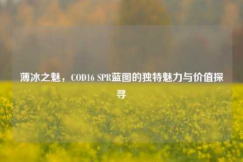 薄冰之魅，COD16 SPR蓝图的独特魅力与价值探寻