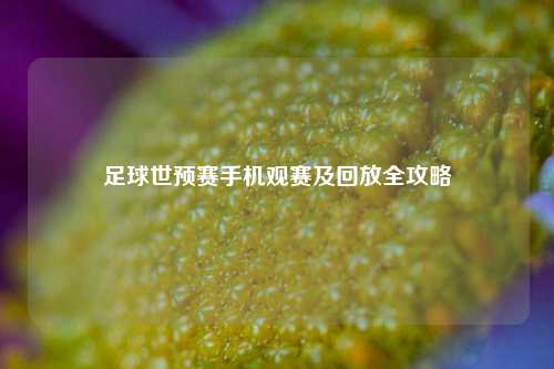 足球世预赛手机观赛及回放全攻略