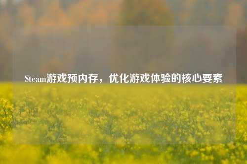 Steam游戏预内存，优化游戏体验的核心要素