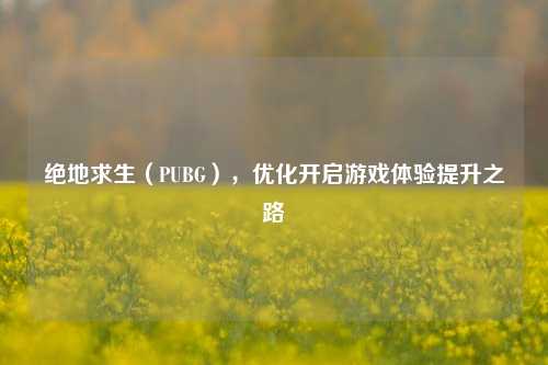 绝地求生（PUBG），优化开启游戏体验提升之路