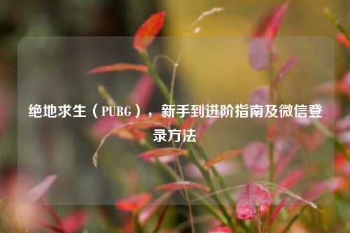绝地求生（PUBG），新手到进阶指南及微信登录方法