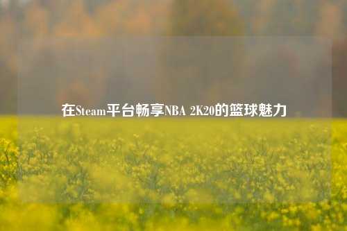 在Steam平台畅享NBA 2K20的篮球魅力