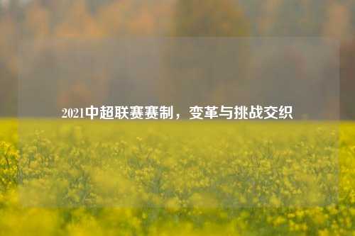 2021中超联赛赛制,变革与挑战交织