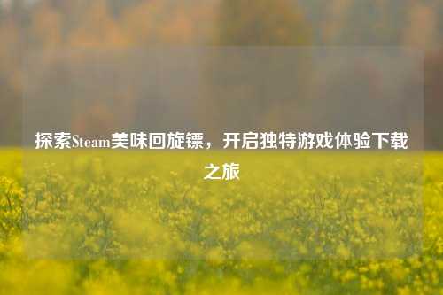 探索Steam美味回旋镖，开启独特游戏体验下载之旅